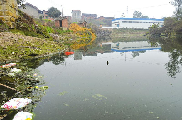 ���ϏS��Ⱦ��(y��n)����һ���~�类����