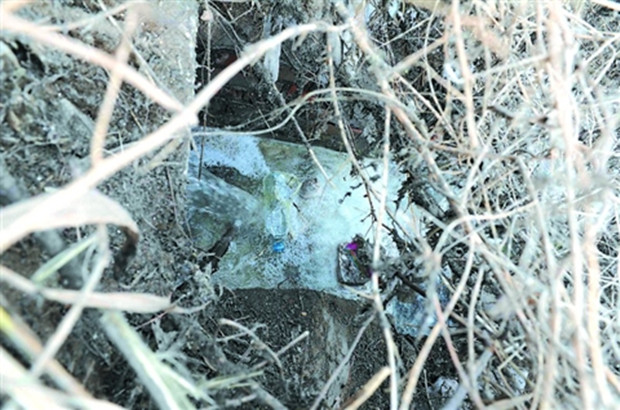 ɽˎ֮�l(xi��ng)�S�鰩�Y�壿