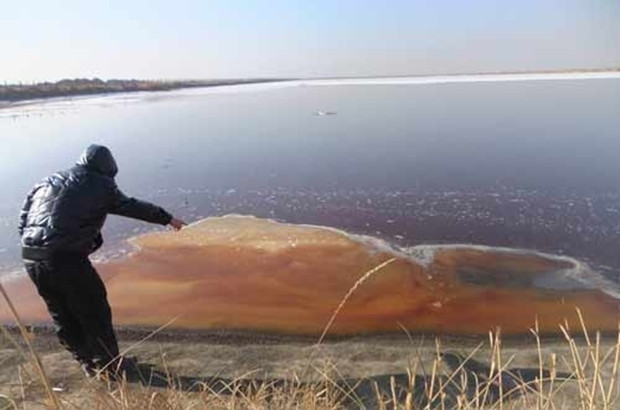 �_(t��i)����ˎ�Sˮ��Ⱦ��8��δ������