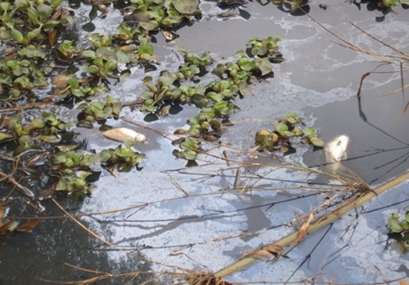 �V��é�X��֧�����ɽ�ˮ��Ⱦ�¼�