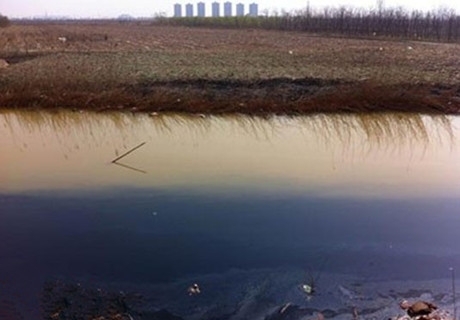 ��򱱳��^�S�a����Ⱦ