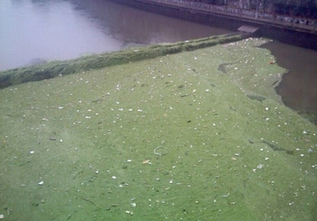 �h�����񎧺Ӳ����¼�