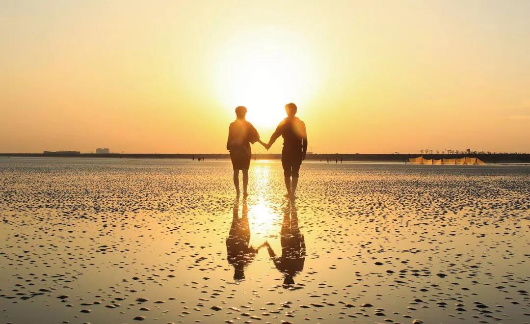 ��˹���������1314��(g��)����